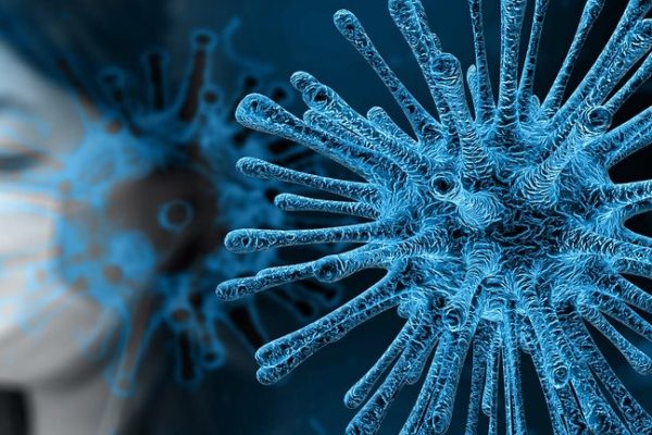 Coronavirus (Imagen Pixabay)