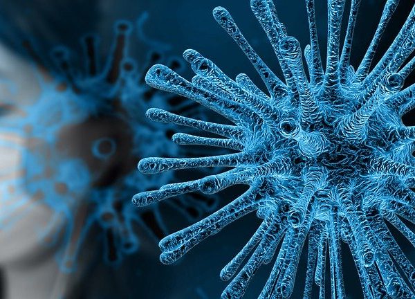 Coronavirus (Imagen Pixabay)