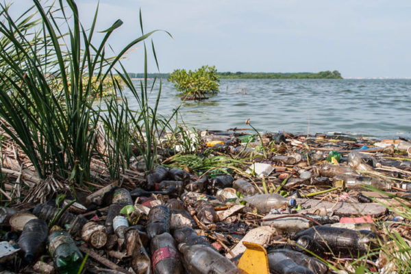 Derrame de petróleo y desechos humanos, principales contaminantes que desembocan en el mar dañando el medio ambiente. (Foto Wikimedia/Autor Wilfredo)