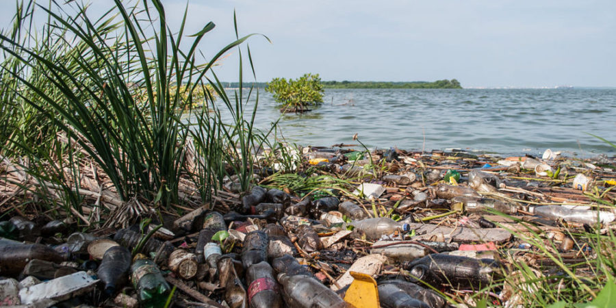 Derrame de petróleo y desechos humanos, principales contaminantes que desembocan en el mar dañando el medio ambiente. (Foto Wikimedia/Autor Wilfredo)